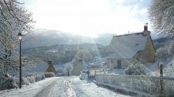 DSC_0003_5 (2)