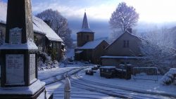 DSC_0006 (2)